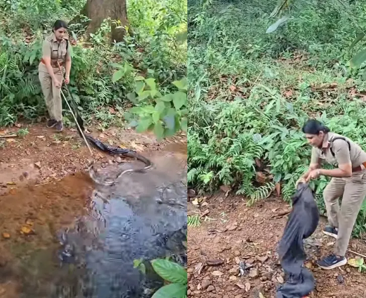 Visual of rescue
