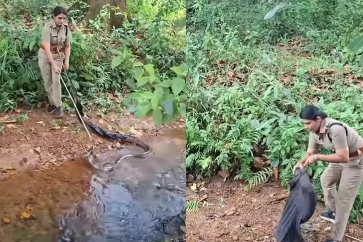cobra rescue