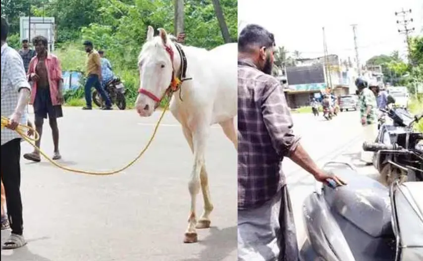 A horse that had run loose through the city ; K F Geoge with his damaged scooter| Mathrubhumi