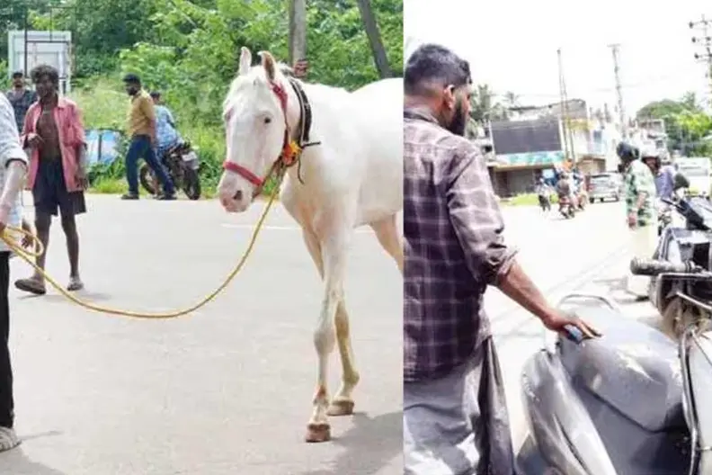 HORSE