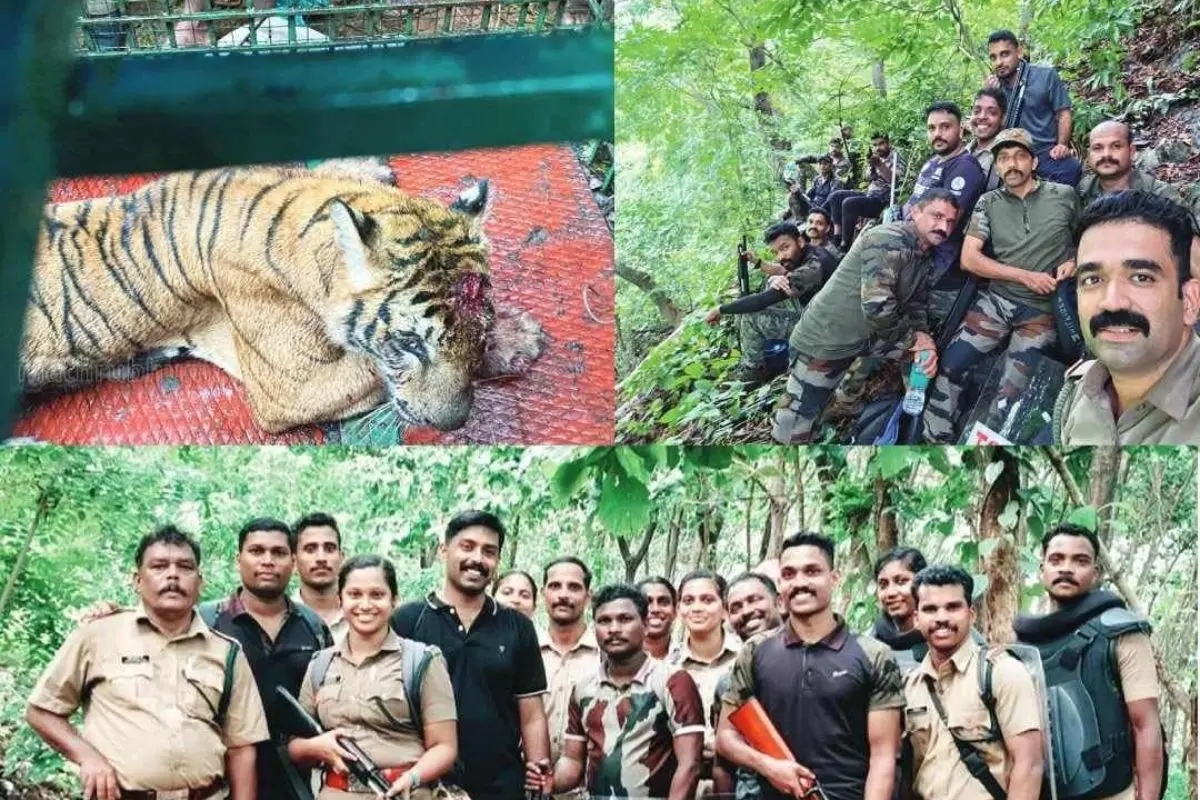 The captured tiger; The rescue team members