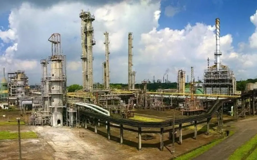 Hindustan Organic Chemicals Ltd