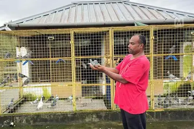 Homing Pigeon flies 1000 km; Rafeeq Salvo wins top honour in Homing Pigeon race