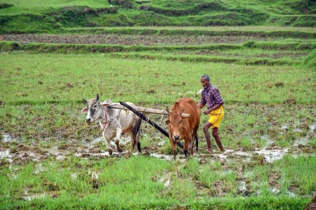 A moment of playful defiance