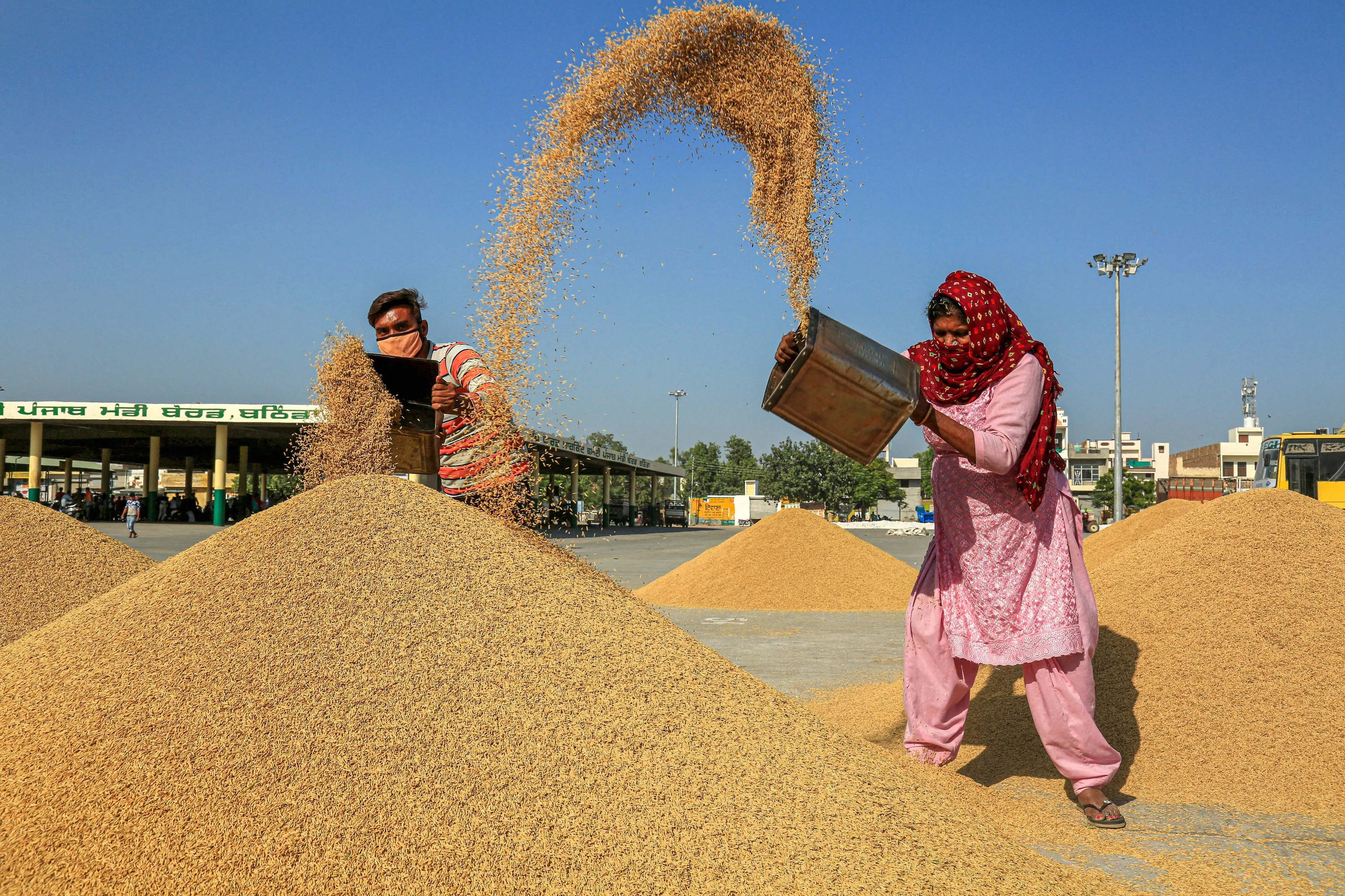 Photo: PTI
