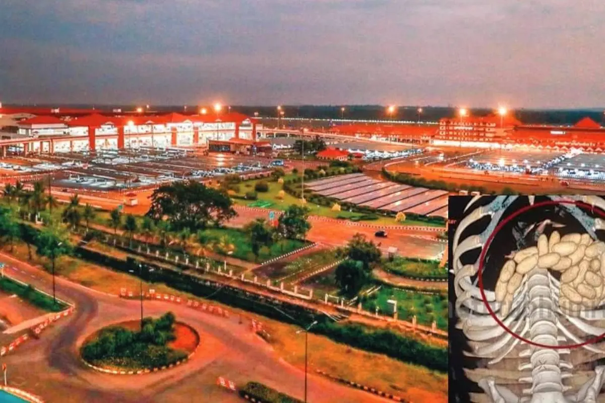 Drugs seized at Kochi airport from the Brazilian couple