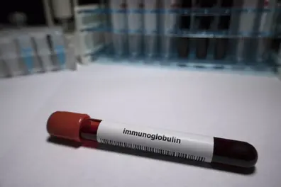 Kerala govt report cites bite area as key cause of rabies deaths; questions over immunoglobulin availability remain