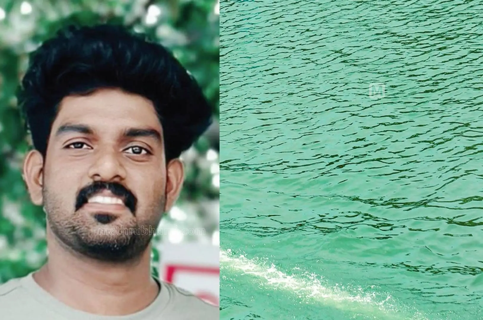 Bipin, Representation image