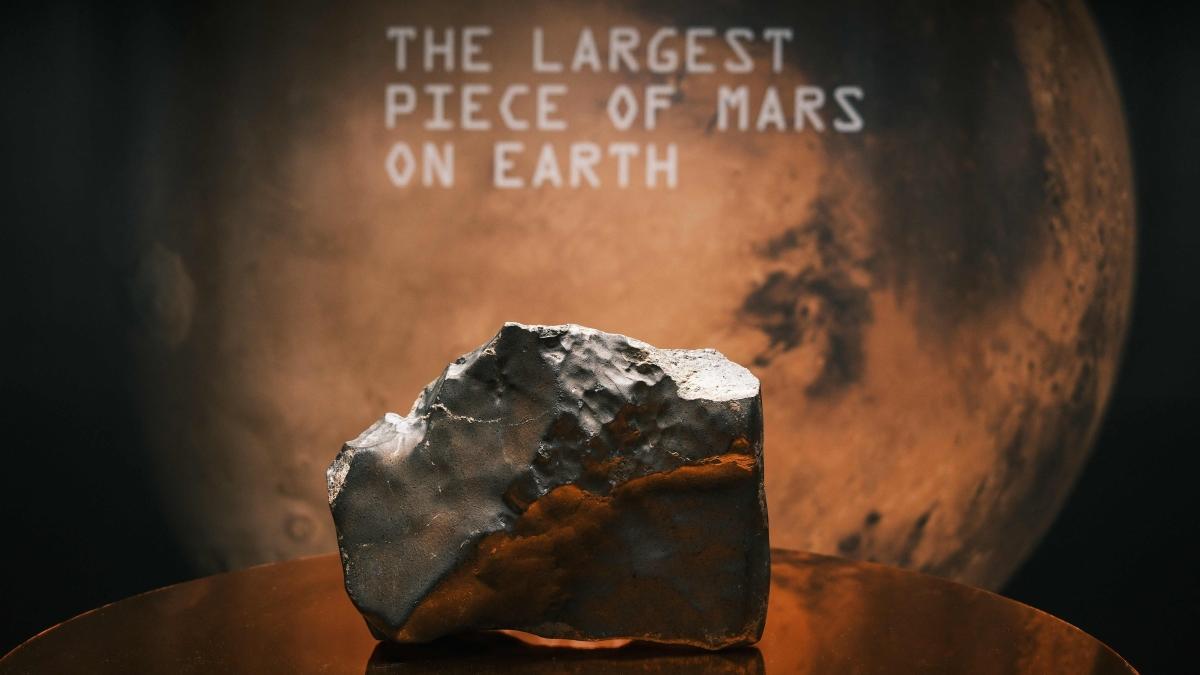 Jurassic jackpot! Rare dinosaur skeleton sells for $30.5M, while Martian meteorite fetches $5M