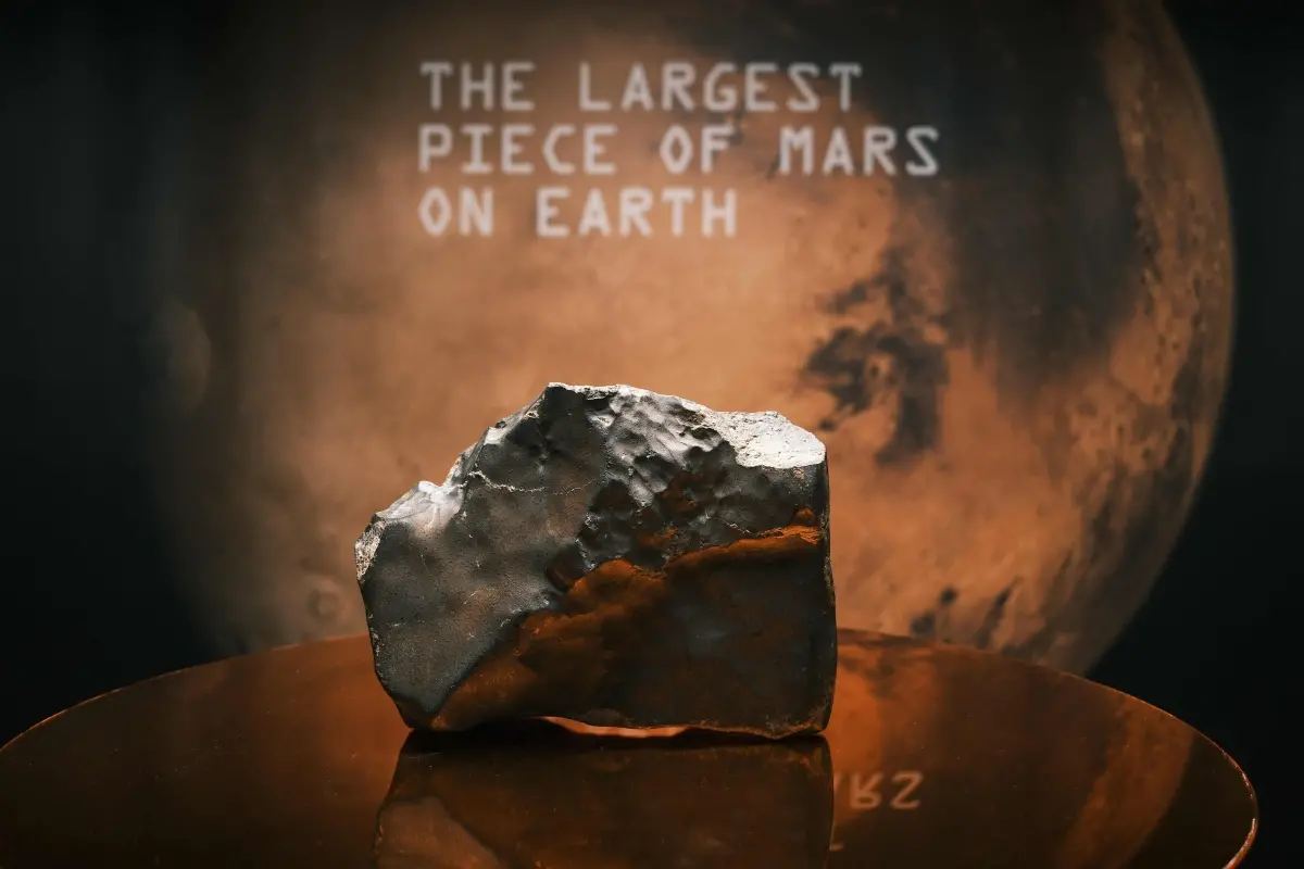 The 54-pound Martian meteorite NWA 16788 is displayed during a Sotheby's auction preview