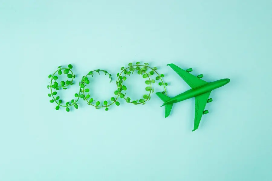 Sustainable aviation fuel