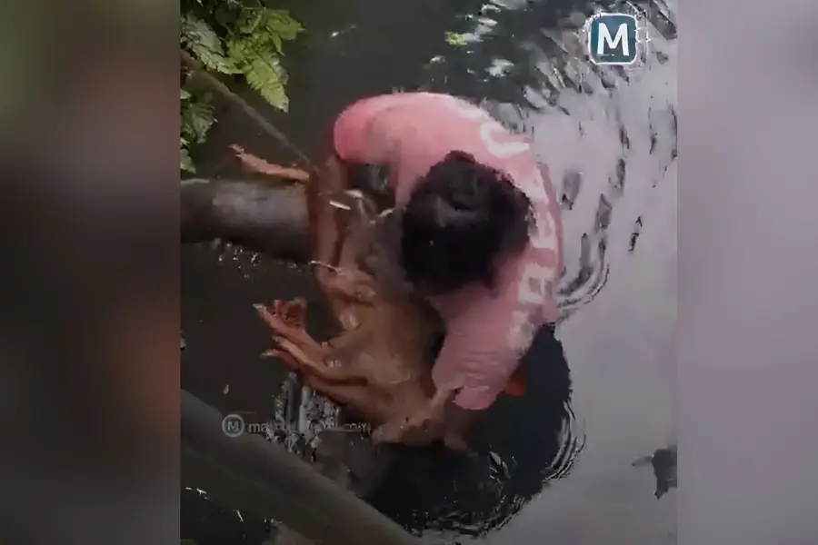 Rescue