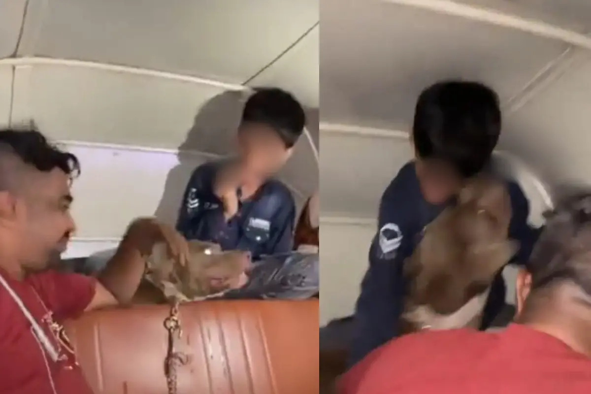 A screengrab of the video showing a dog attacking the boy inside auto in Mumbai | X