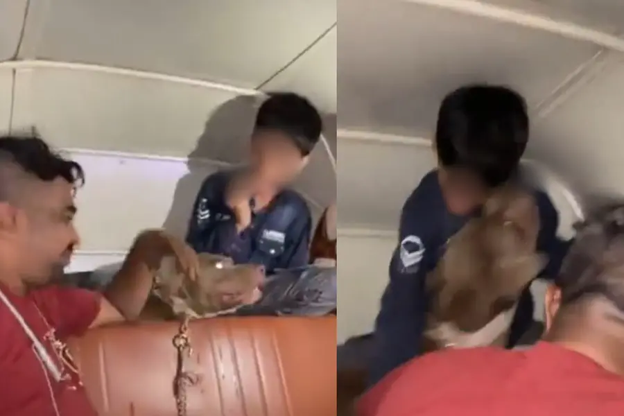A screengrab of the video showing a dog attacking the boy inside auto in Mumbai | X