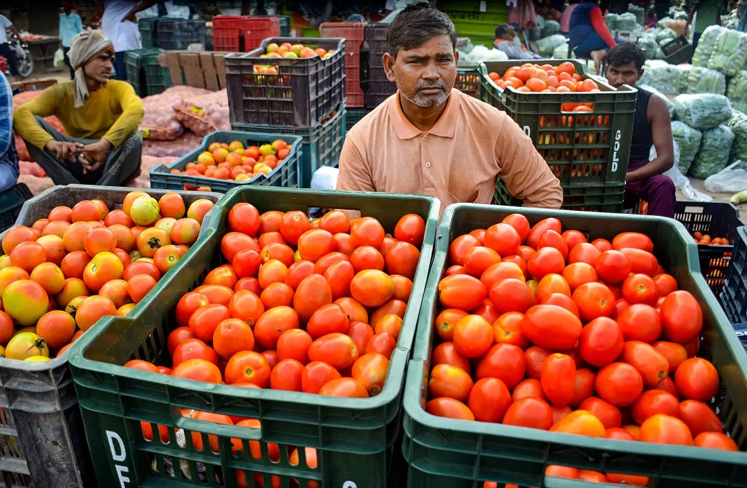 Tomato vendor | photo : PTI