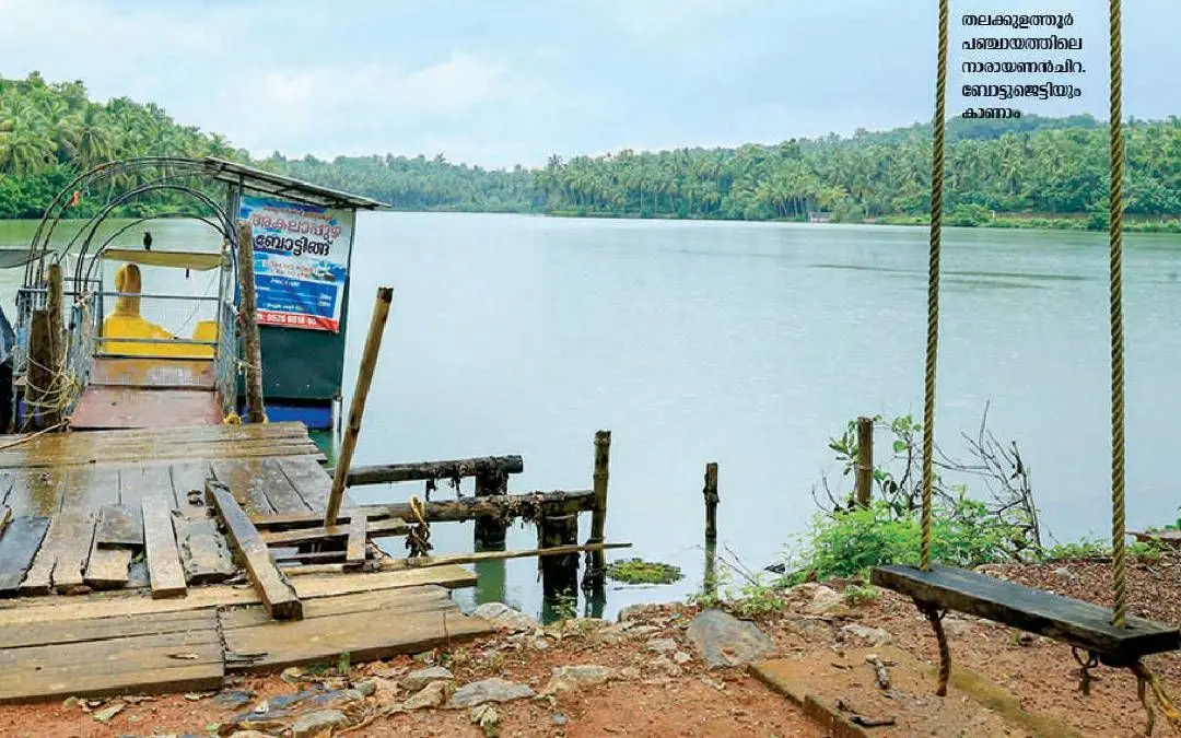 Narayanan chira | Mathrubhumi