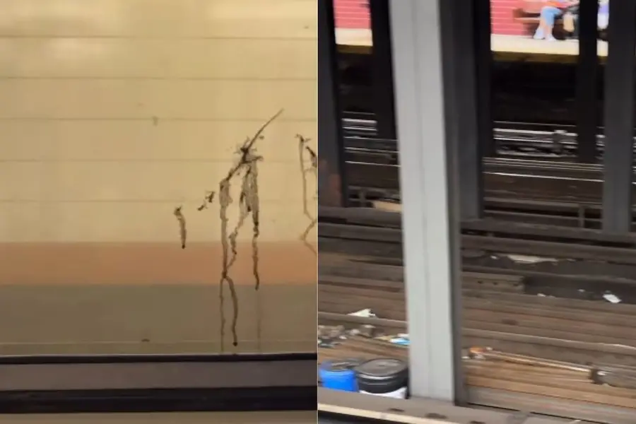 A screengrab of the video