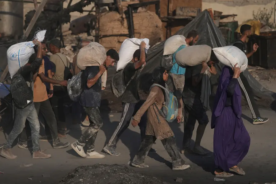 Israel air drops humanitarian aid into Gaza as global pressure mounts over worsening hunger crisis