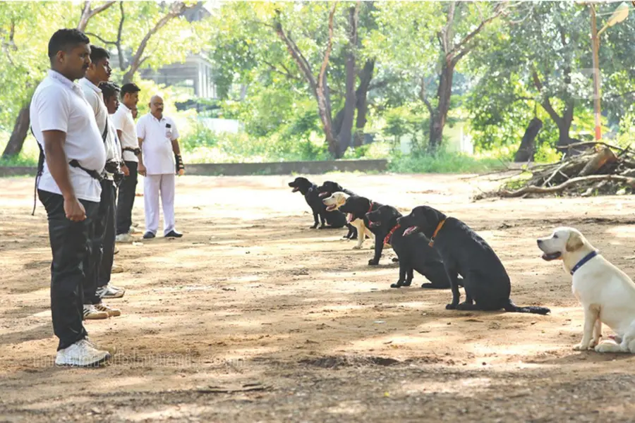 Delhi Police dogs trained not to bark when they find explosives, ahead of Independence Day
