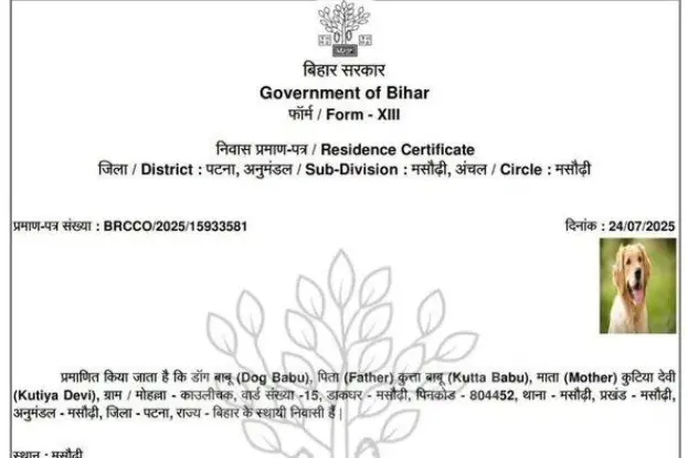 Stray dog issued residence certificate in Bihar, cancelled within minutes; probe underway