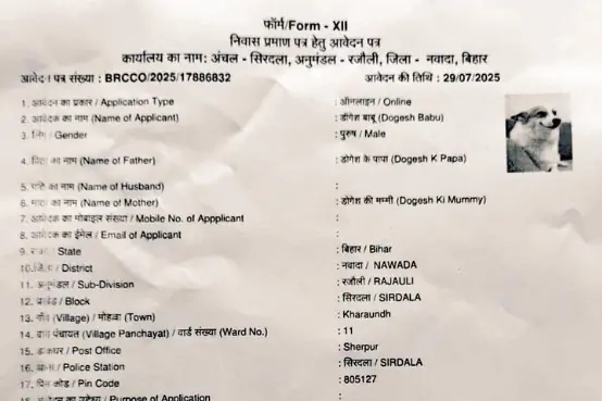 From 'Dog Babu' to 'Dogesh Babu': Bihar grapples with fake residence certificate applications