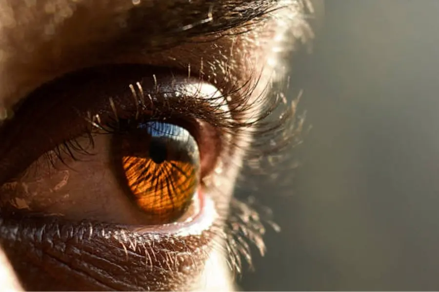 Too much screen time? How digital devices are taking toll on your eyes