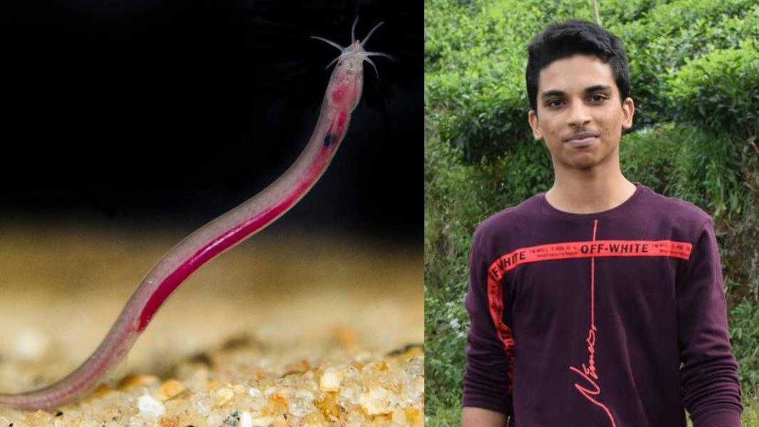 അപൂര്‍വ്വ ഭൂഗര്‍ഭ മല്‍സ്യത്തെ കണ്ടെത്തി 17-കാരന്‍