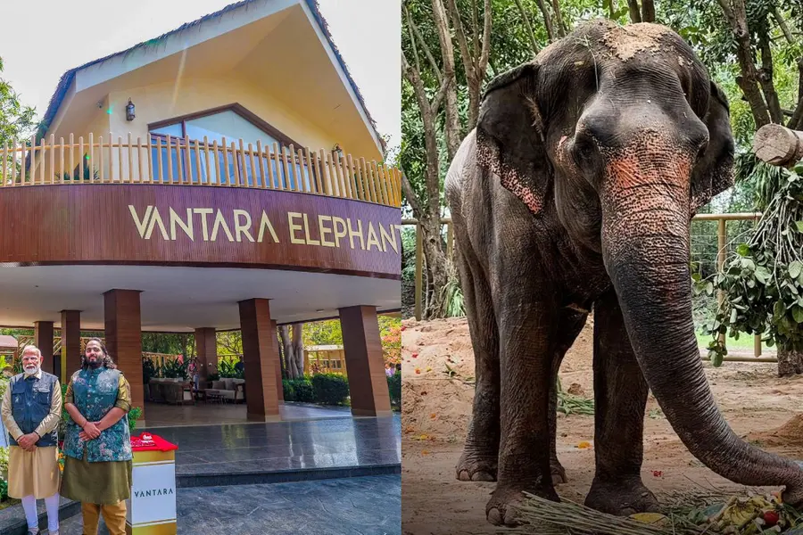 Mahadevi controversy: Vantara refutes misinformation on elephant's transfer