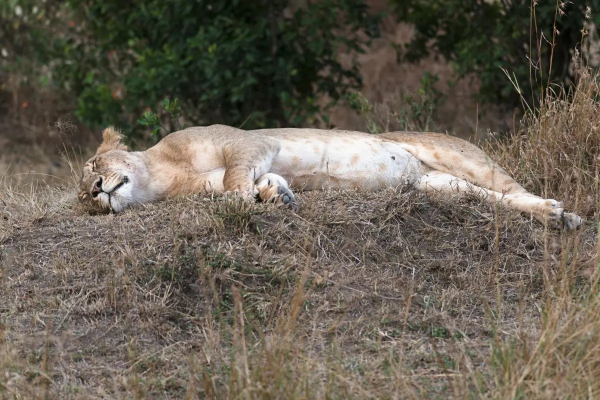 Representational image | Photo: Canva