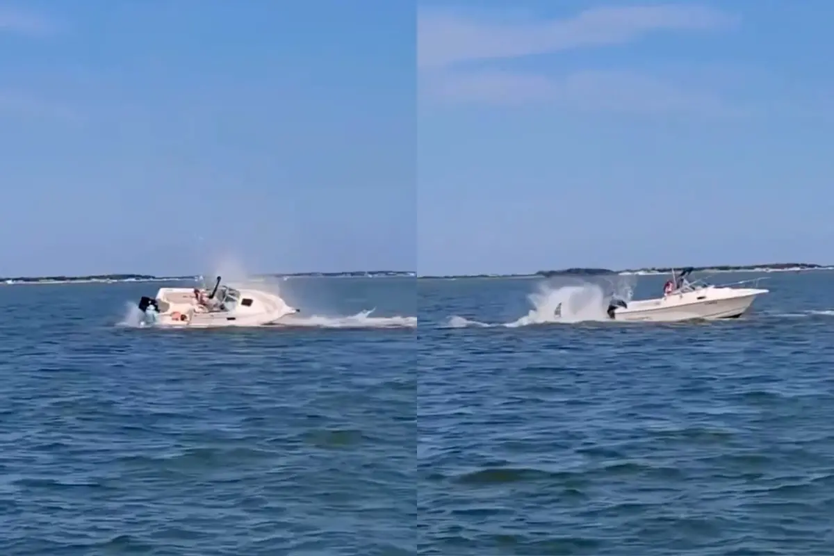 Whale crashes into small boat off New Jersey coast | Photo: Screen grab of X/@WifeFinance