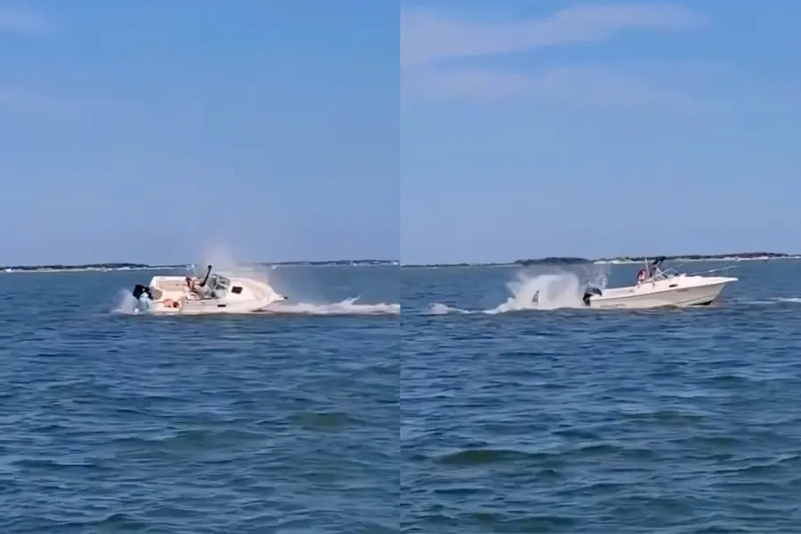 Whale crashes into small boat off New Jersey coast