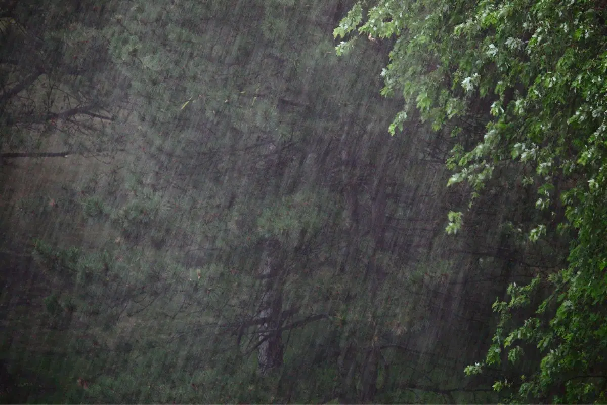 Representational image