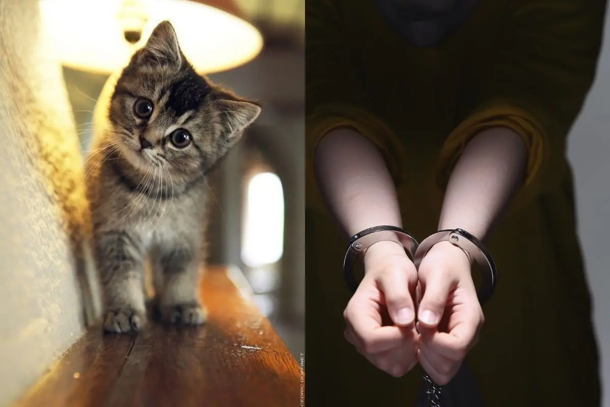 Representational Image | Photo: Canva