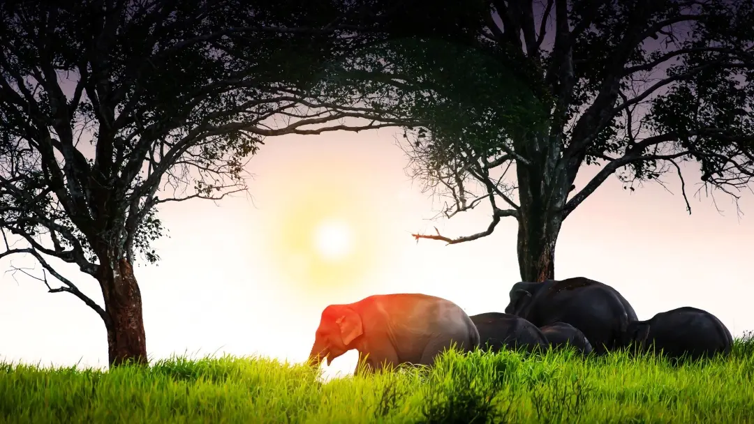 Representational Image | Canva