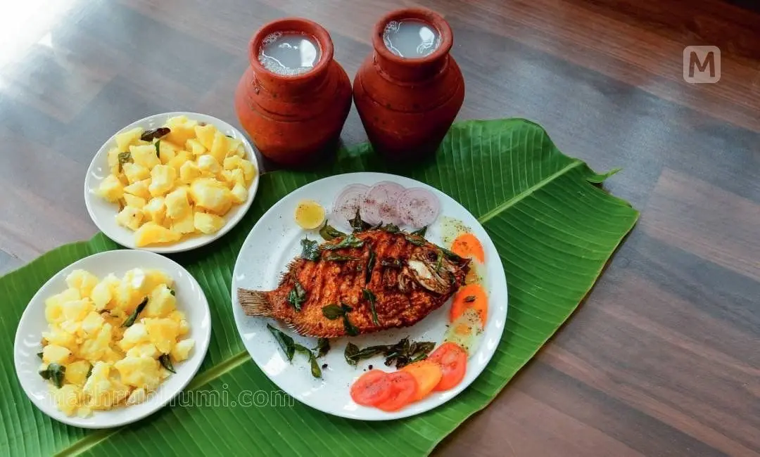 Representational Image | Mathrubhumi