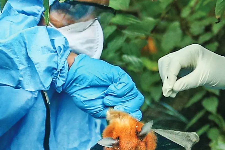 Nipah cure closer? IIT Palakkad finds plant molecules that may help fight the virus