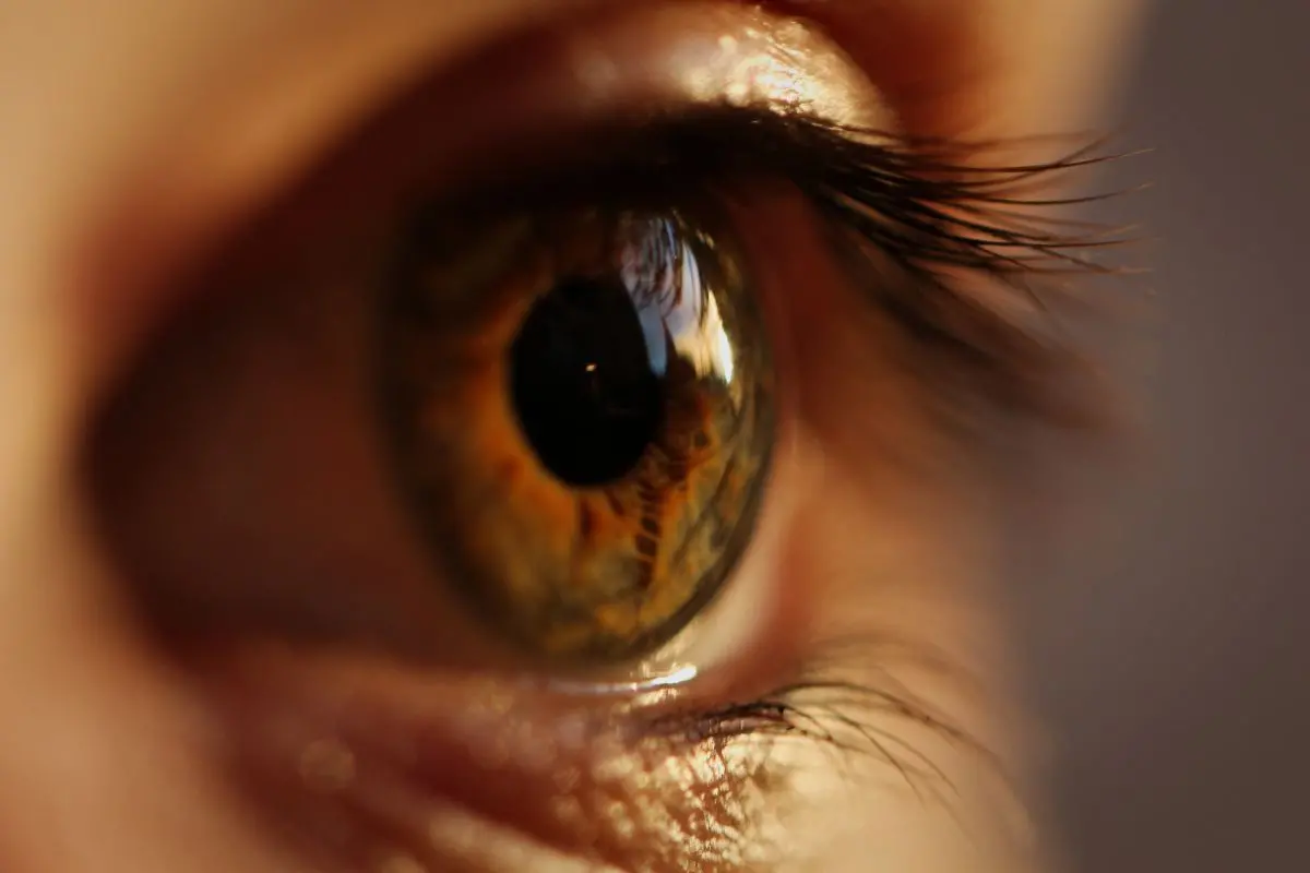 Representational Image | Photo: Canva