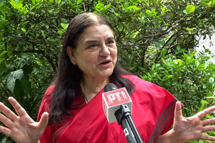 ‘A judgment given by someone who is in anger’: Maneka Gandhi opposes SC ruling on Delhi's stray dogs