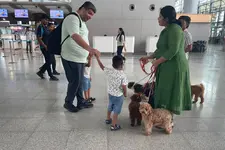 നായകളോടൊപ്പം കളിച്ചും ഉല്ലസിച്ചും വിമാനത്താവളത്തിലെ കാത്തിരിപ്പ് ആഘോഷമാക്കാം