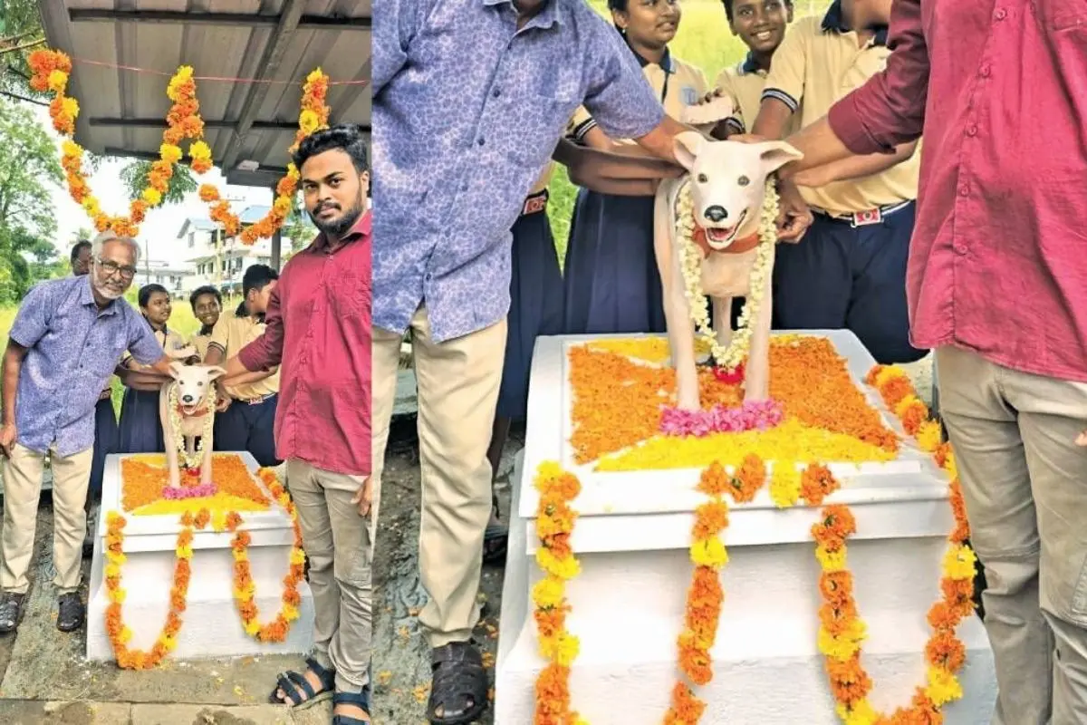When the statue of 'Eldo' was installed at the Eroor Kozhivettumveli Junction in Thrippunithura
