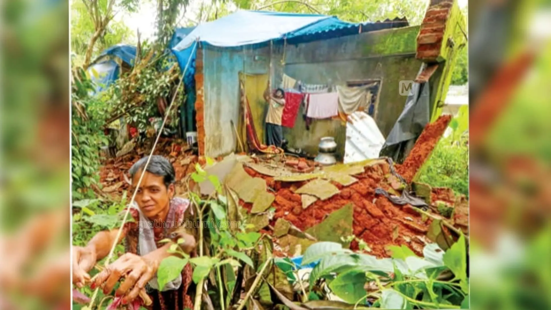 The dilapidated home of Bindu | Mathrubhumi