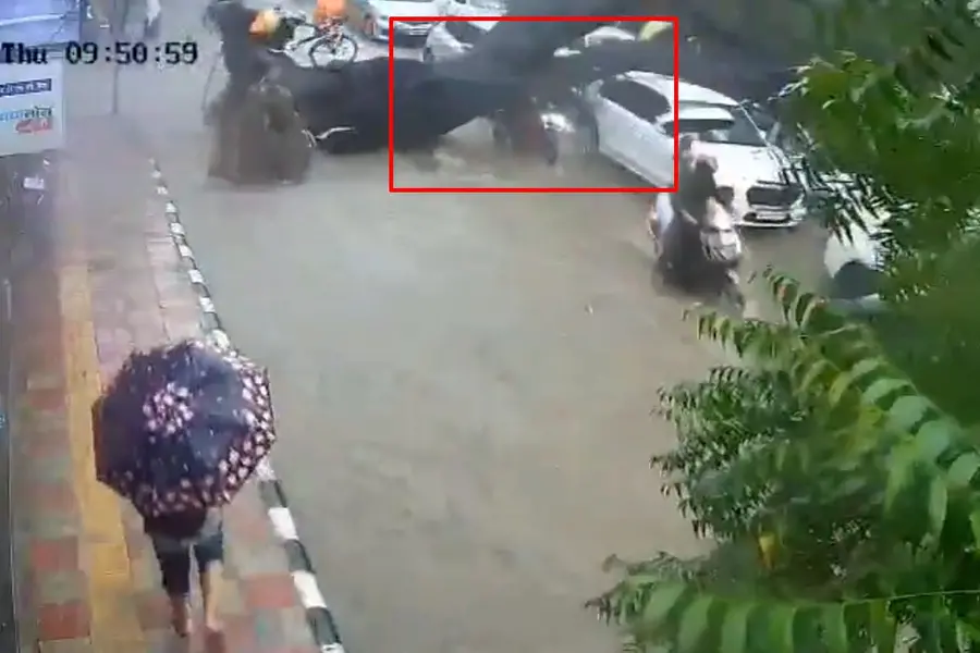Rain fury in Delhi: Person on bike killed after tree uproots in Kalkaji | WATCH