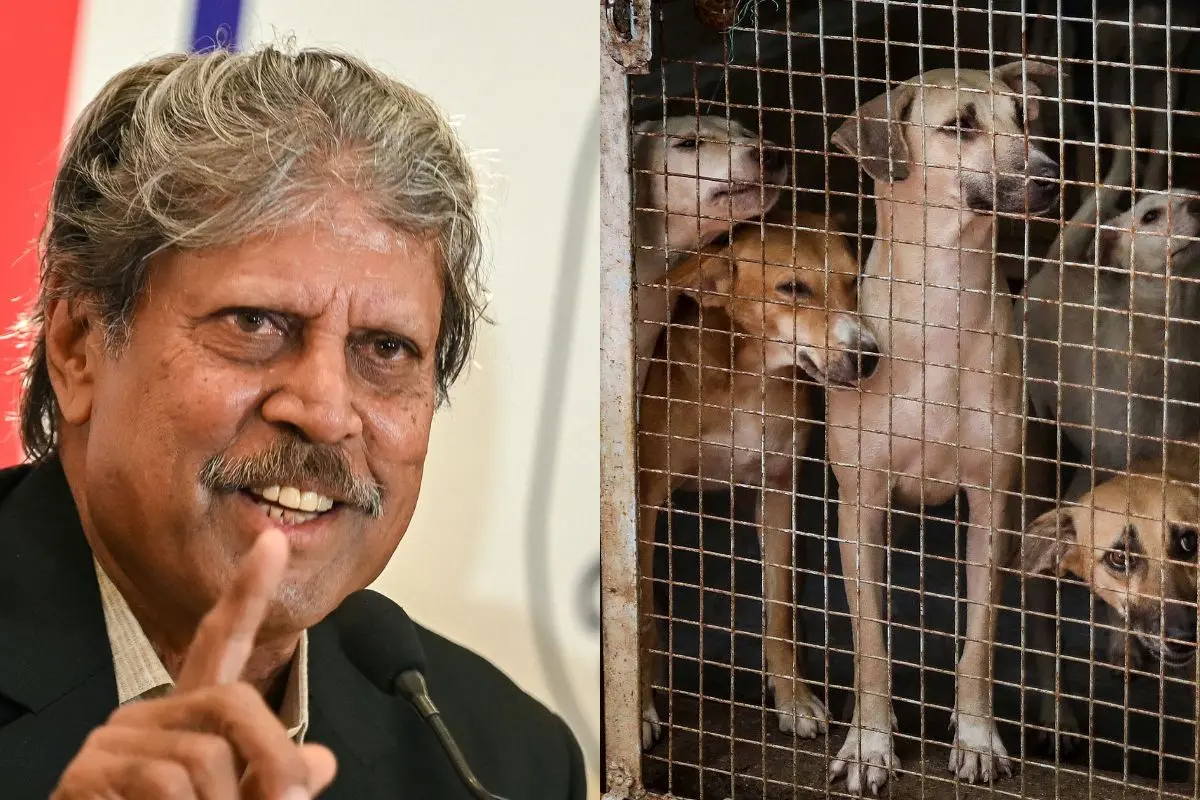 Kapil Dev makes an emotional appeal for compassion towards stray dogs after Supreme Court's shelter home directive. Photos: PTI