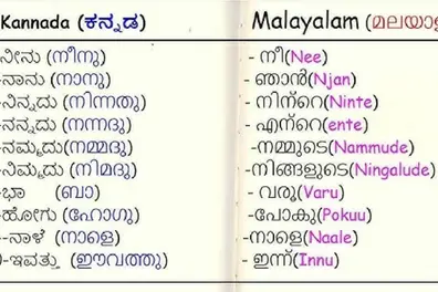 Six years in making: A landmark Kannada-Malayalam dictionary for language enthusiasts