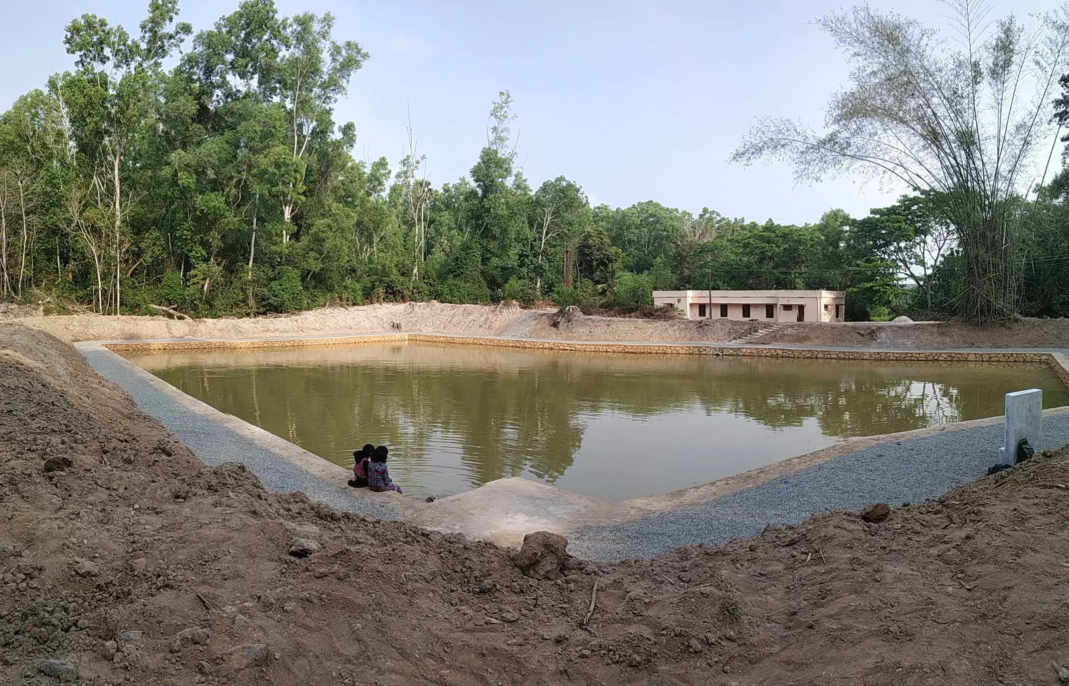 A stagnant pond