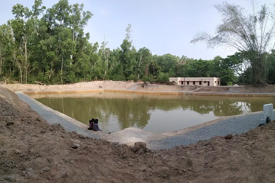 pond