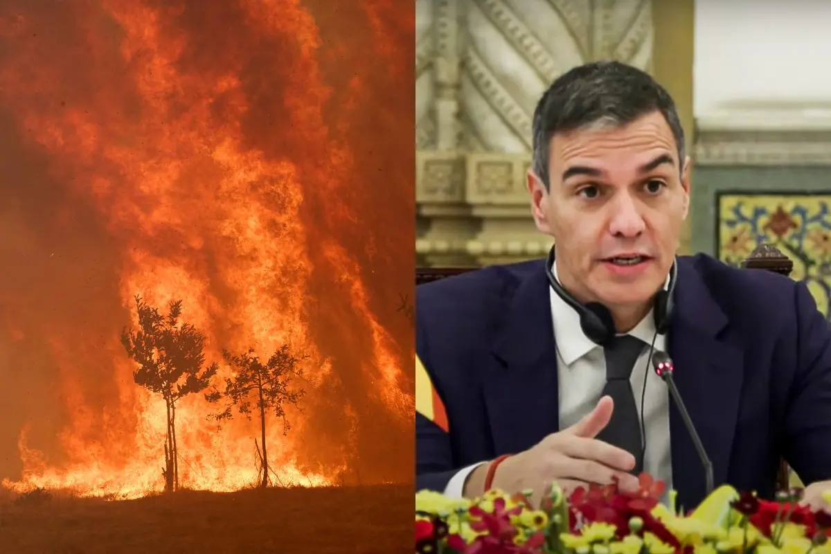 A wildfire burns out of control in a forest near Rebordondo village in northwestern Spain and Spain's Prime Minister Pedro Sánchez | Photo: AP and PTI