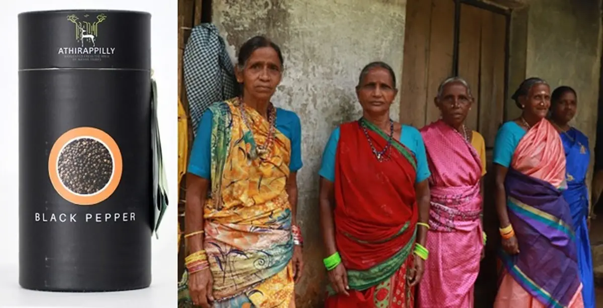 Pictures from https://athirappillytribalvalley.com/