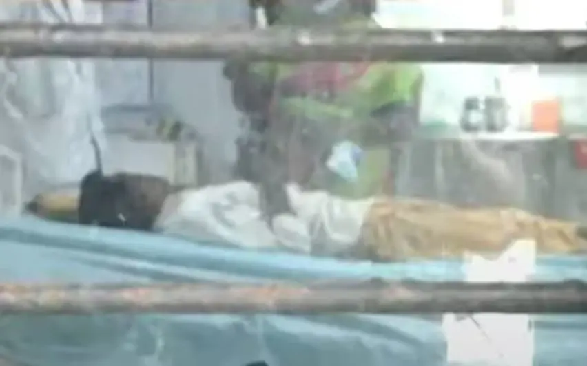 Vellayan, the tribal youth who was attacked and is currently undergoing treatment