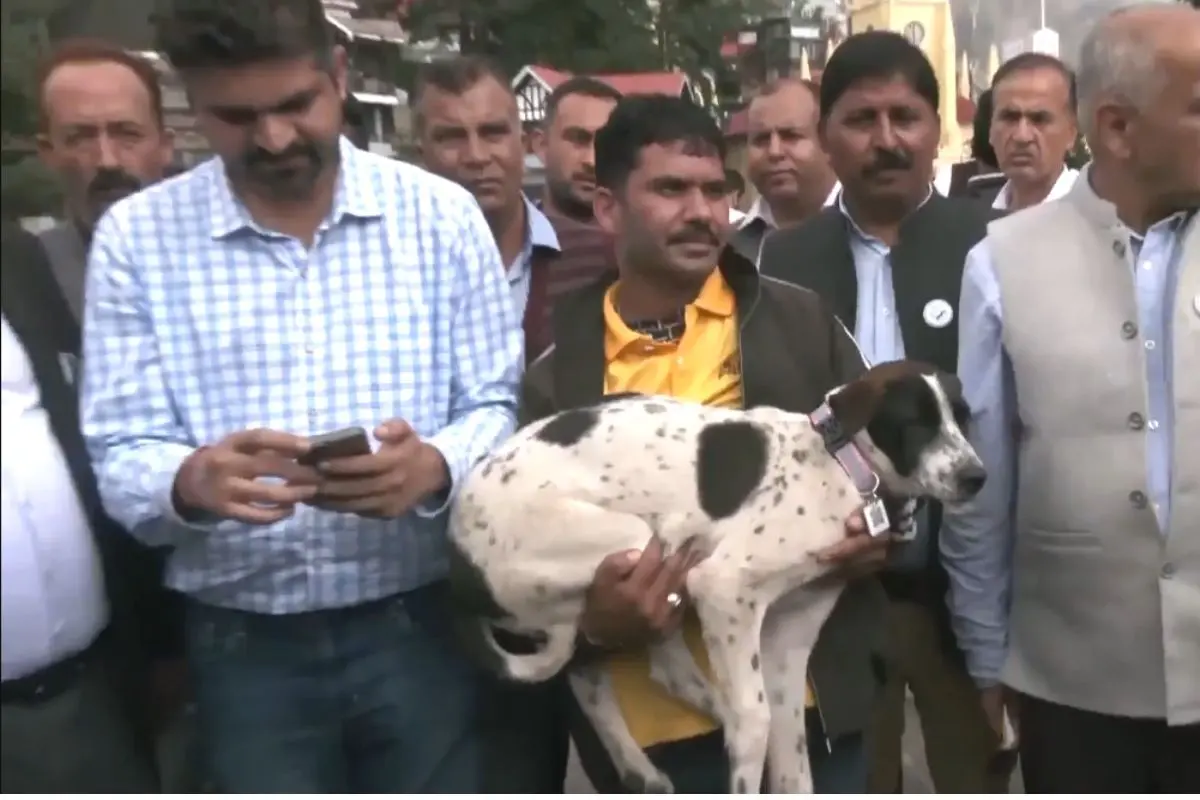 Screen grab from the video | ANI